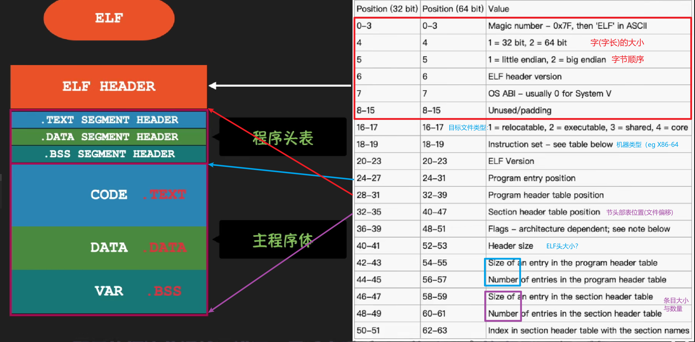 Executable Linkable Format